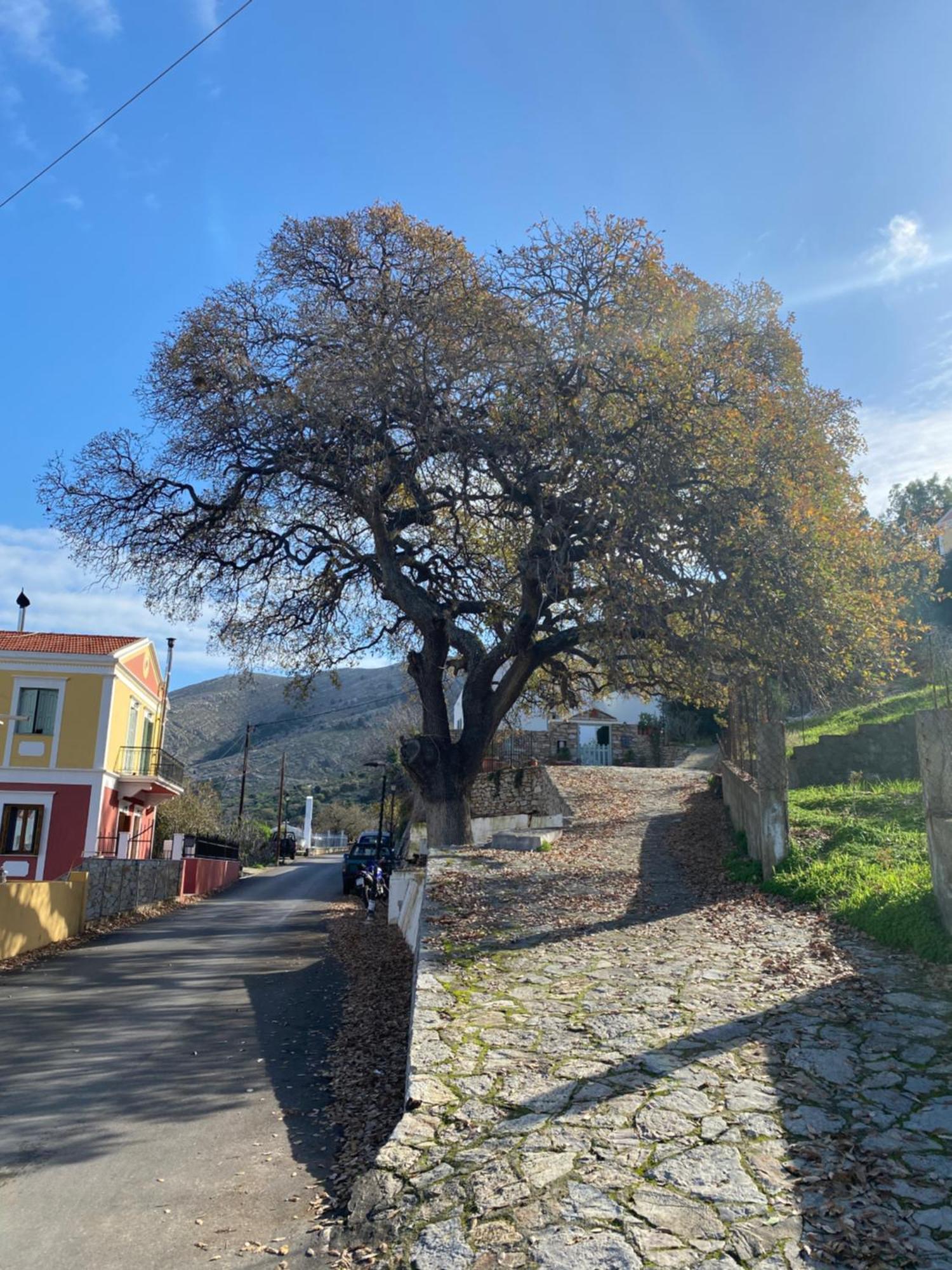 Panorama Villa Symi Exterior photo